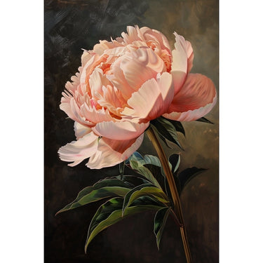 Pink Peony Acrylic Canvas